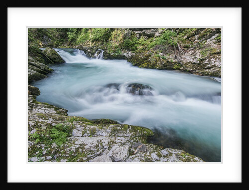 Vintgar Gorge by Anonymous