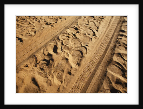 Elephant and vehicle tracks on sand road by Anonymous