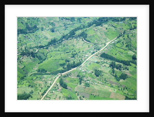 Aerial view of Tea plantations, Kenya by Anonymous