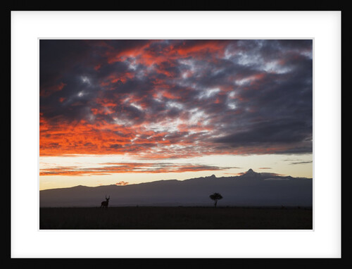 Mount Kenya, Kenya by Anonymous