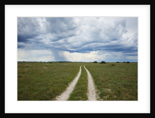 Sand road and thunderstorm, Botswana by Anonymous