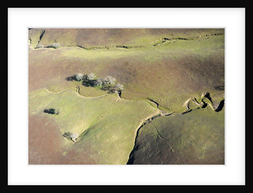 Aerial view of a dried up stream in Santa Ynez, California by Anonymous
