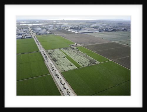 Aerial view of Oxnard, California by Anonymous