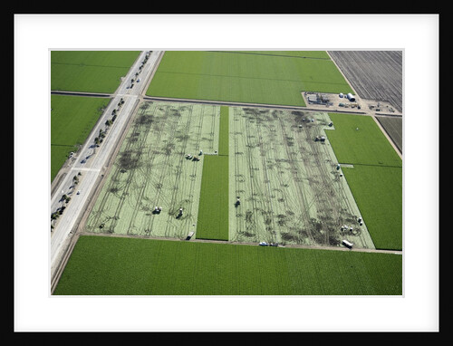 Aerial view of a working farm in Oxnard, California by Anonymous