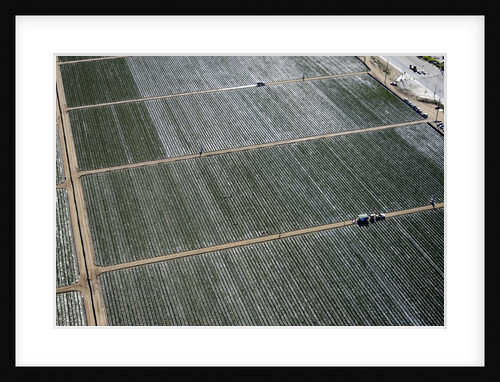 Aerial view of a working farm in Oxnard, California by Anonymous