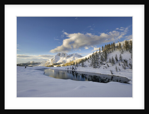 Mount Bivera view from Casera Razzo, Casera razzo, veneto, Italy, Italia by Anonymous