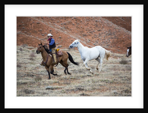 Cowboy at Full Gallop by Anonymous
