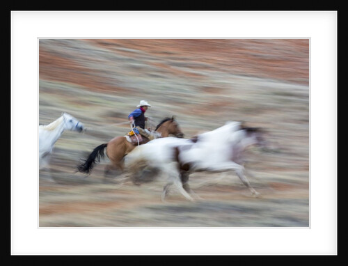 Cowboy at Full Gallop in motion by Anonymous