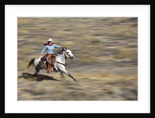Cowgirl riding at full speed in motion by Anonymous