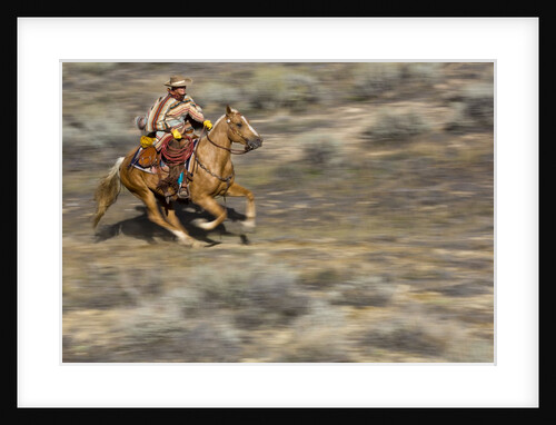 Cowgirl riding at full speed in motion by Anonymous