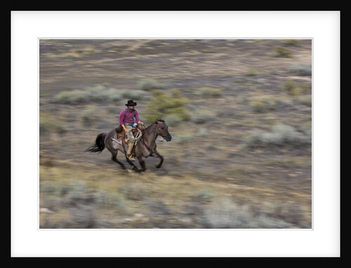 Cowboy riding at full speed in motion by Anonymous