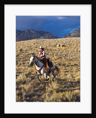 Cowgirl riding at full speed in motion by Anonymous