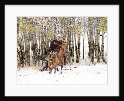 Cowboys riding in Autumn Aspens with a fresh snowfall by Anonymous