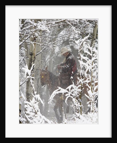 Cowboys riding in Autumn Aspens with a fresh snowfall by Anonymous