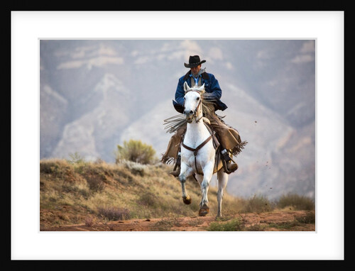 Cowboy at Full Gallop by Anonymous