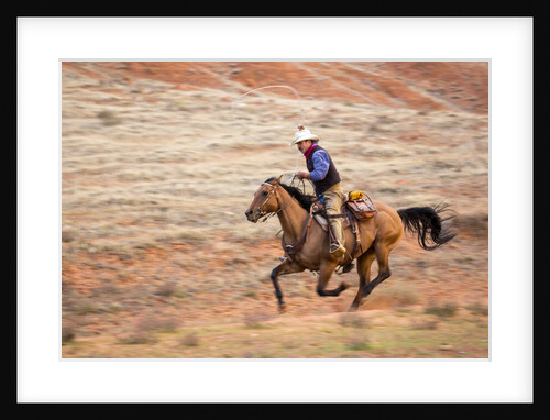 Cowboy at Full Gallop by Anonymous