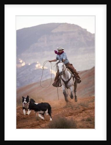 Cowgirl at Full Gallop with Cowdogs leading way by Anonymous