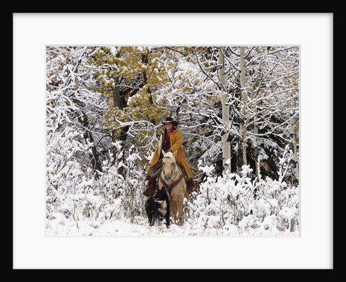 Cowgirl riding in Autumn Aspens with a fresh snowfall by Anonymous