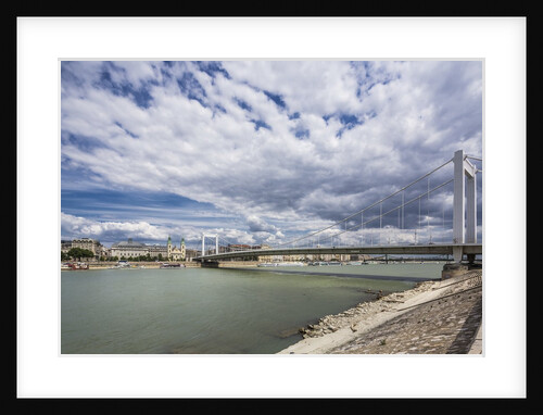 The river Danube, the Elisabeth Bridge, the town of Pest by Anonymous