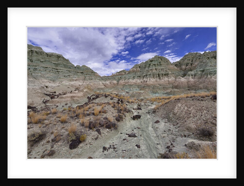 Blue Basin Unit by Anonymous