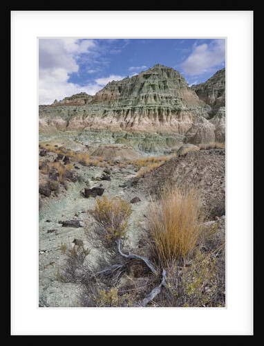 Blue Basin Unit by Anonymous