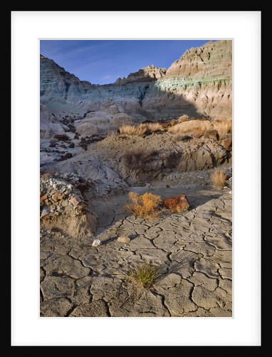 Blue Basin Unit by Anonymous