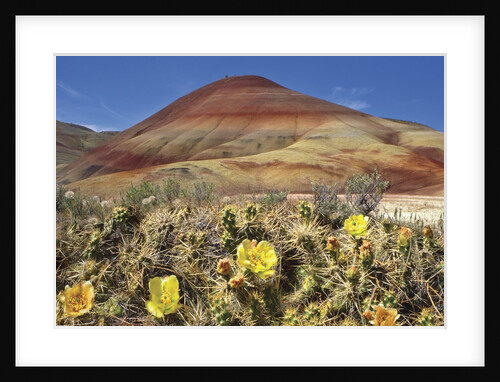 Painted Hills National Monument by Anonymous