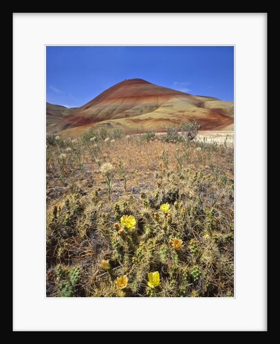 Painted Hills National Monument by Anonymous