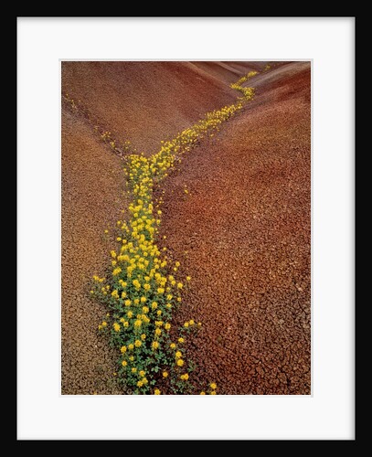Painted Hills National Monument by Anonymous