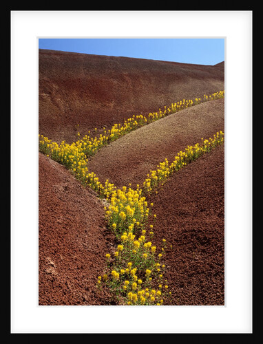 Painted Hills National Monument by Anonymous