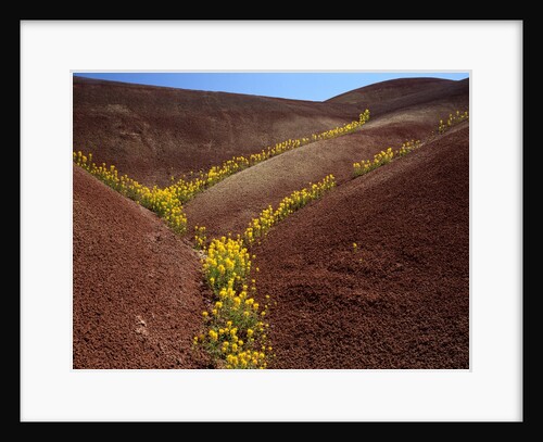 Painted Hills National Monument by Anonymous