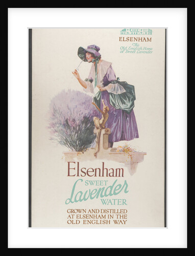 Elsenham Lavender, 1920s. Artist: Wilfred Fryer by Anonymous