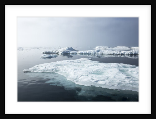 Melting Sea Ice, Repulse Bay, Nunavut Territory, Canada by Anonymous