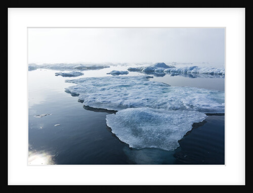 Melting Sea Ice, Repulse Bay, Nunavut Territory, Canada by Anonymous