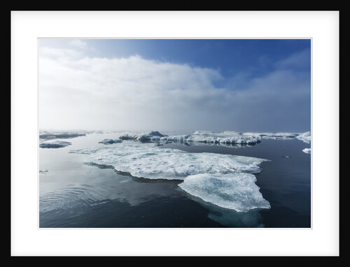 Melting Sea Ice, Repulse Bay, Nunavut Territory, Canada by Anonymous