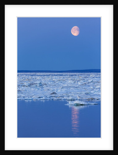 Full Moon and Melting Sea Ice, Repulse Bay, Nunavut Territory, Canada by Anonymous