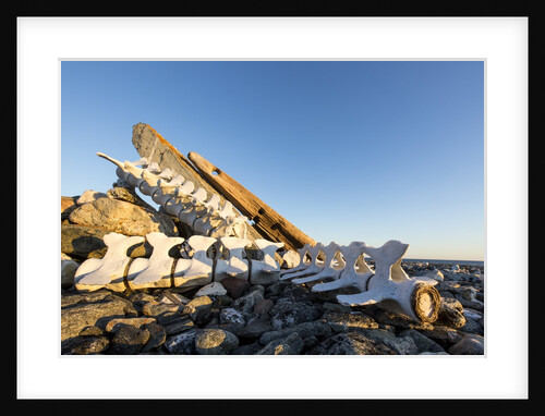 Whalers' Graves, Deadman Island, Nunavut, Canada by Anonymous