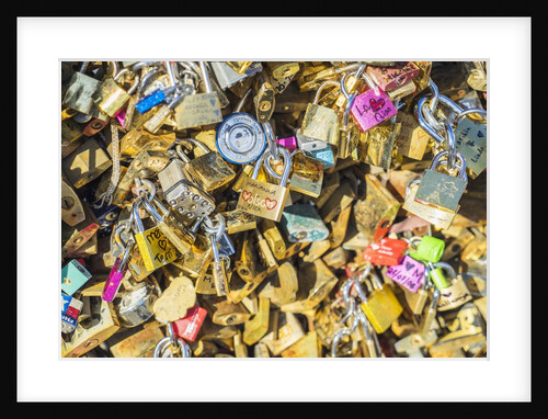 Love locks at Pont de l'Archeveche, near Notre Dame Cathedral by Anonymous