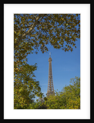 Eiffel Tower view from Champ de Mars by Anonymous