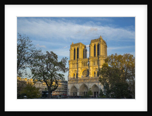 Notre Dame Cathedral by Anonymous