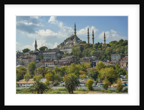 Suleymaniye Cami, Suleyman Mosque by Anonymous