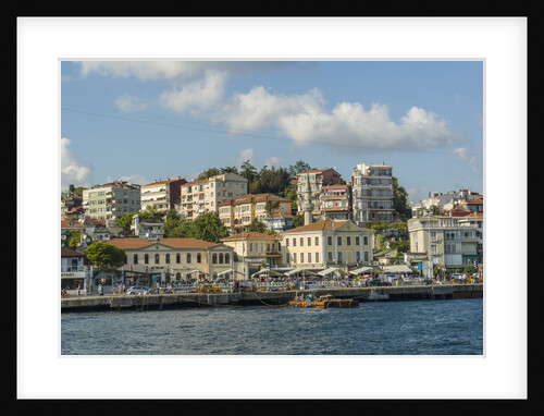 Beautiful houses along Bosporus by Anonymous