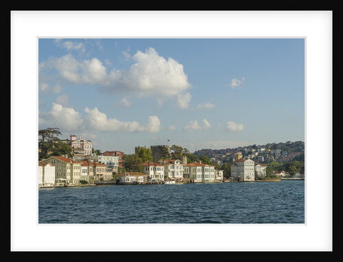 Beautiful houses along Bosporus by Anonymous