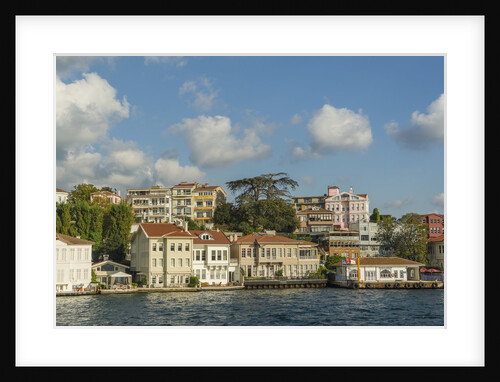 Beautiful houses along Bosporus by Anonymous