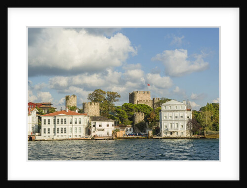 Beautiful houses along Bosporus by Anonymous
