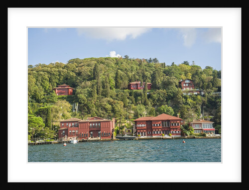 Beautiful houses along Bosporus by Anonymous