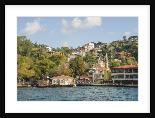 Beautiful houses along Bosporus by Anonymous