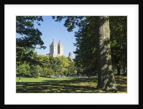 Central Park, New York City by Anonymous
