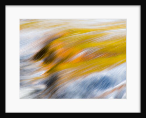 Trees reflect in cascade above Bond Falls on the Middle Fork of the Ontonagon river near Paulding in by Anonymous