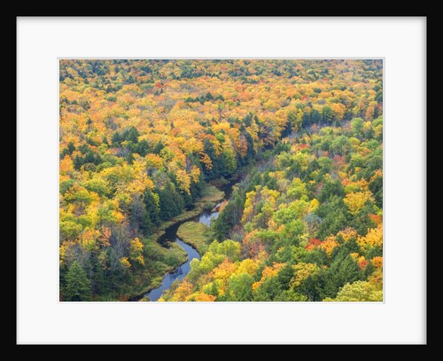 A view from the summit peak of the Big Carp River in autumn at Porcupine Mountains Wilderness State by Anonymous